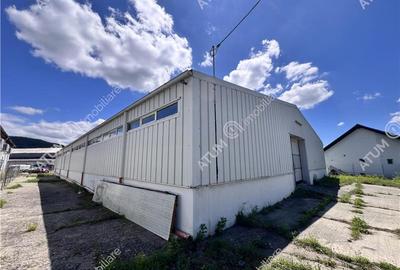 Hala de 918 mp utili si teren de 2400 mp cu acces de tir in Talmaciu - 2