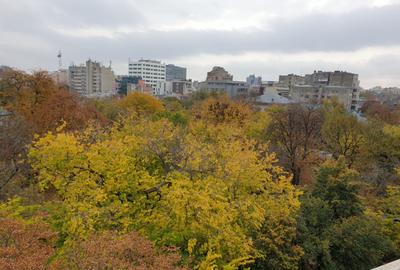 Vanzare apartament penthouse Gradina Icoanei - 4