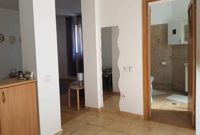 Vanzare garsoniera la curte, Stefan cel Mare Tunari, parter inalt, 65000 euro - 11