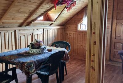Casă rezidențială cu mansardă și garaj, teren 5000mp, Cateasca, Arges - 16