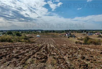 Ferma 3,3ha, din care 2,5ha intravilan, vila 7 camere, D+P+E+M, casa pentru munc - 16