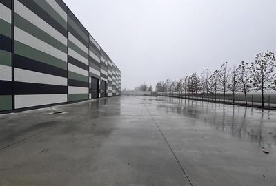 Hala Industriala Noua 2025 – Acces Rapid la Autostrada  - 7000 mp - 4