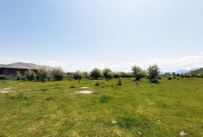 Sanpetru teren pentru dezvoltare imobiliara 4318mp, 55 euro/mp - 10