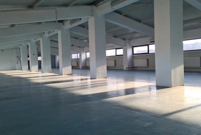 Hală modernă multifuncțională – 1.300 mp –Bucium, Iași- DE ÎNCHIRIAT - 5