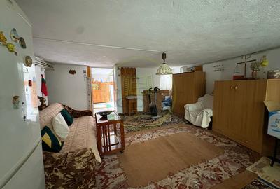 Casa, D+P+1+M , 240 mp, Cartier Valea Rosie, Zona Liceul Traian Vuia - 4