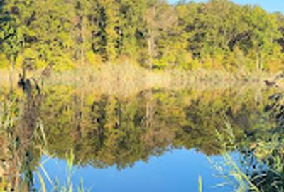 Teren unicat cu deschidere la lacul Caldarusani - 8
