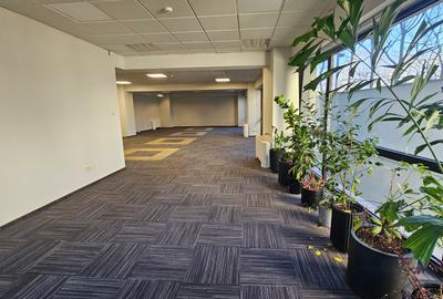 Spatiu birouri in imobil de birouri, P-ta Victoriei, parter - 7