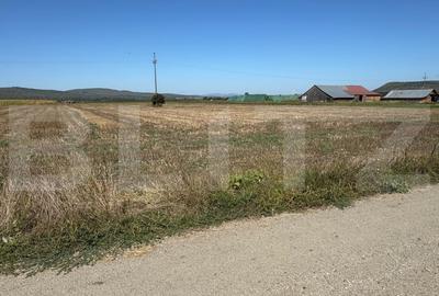 Teren Construcții intravilan de 2250 mp, în Sud