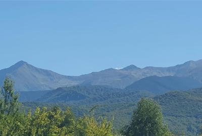 Vanzare parcele de teren 862mp / 1740mp pe Valea Avrigului, Județul Sibiu - 9