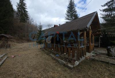 Cabana la munte Rucar / Satic - 7