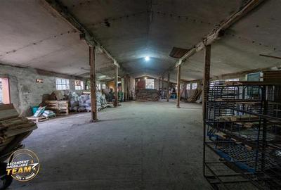 Spatiu comercial+afacere functionala: brutarie,rute de distributie,Ghelinta - 3