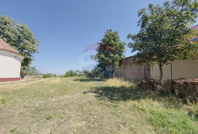 Teren 2,841mp Apateu / Strada Principala langa Biserica Ortodoxa - 16