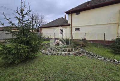 Casa individuala de vanzare, 5 camere, 3 bai, teren 1700 mp, Giarmata - 3