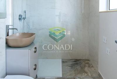 Iancu Nicolae-Pipera, vila cu 5 camere de vanzare, 345 mp construiti - 12