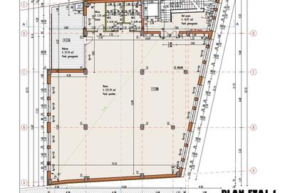 Imobil versatil cu functiuni mixte zona P-ta Mihai Viteazul - 27