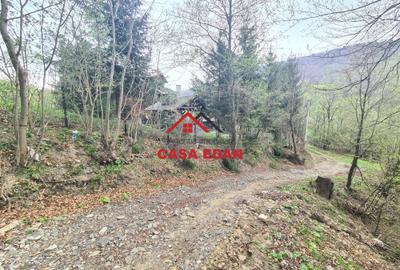 Teren intravilan in Valea Doftanei cu iesire la Parajul Paltinu--1000 mp--120e - 10