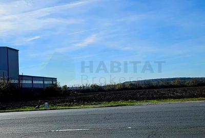 Teren intravilan 15.000 mp – DN2 Afumați - 7