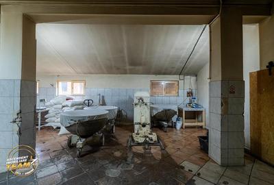 Spatiu comercial+afacere functionala: brutarie,rute de distributie,Ghelinta - 19