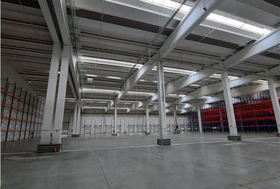 Spatiu Industrial - 5000 mp - Logistica - Depozitare - Distributie - 17