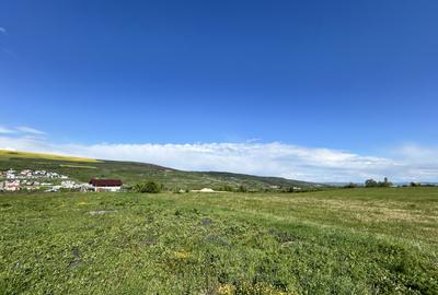 Teren de vanzare Valea Chintaului 1300mp front 24ml - 4