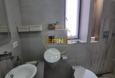 Iancu Nicolae Jolie Ville, vila noua de vanzare, 7 camere, 4 locuri de parcare - 15