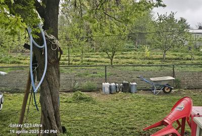 Colt de rai refugiul tău verde în inima naturii - 5