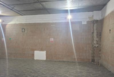 Spatii depozitare /productie Linia de Centura Leordeni-Glina - 14