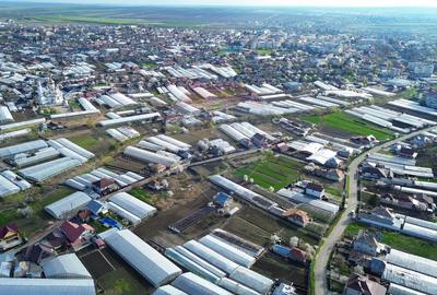 Teren Intravilan 1,430 mp Târgu Frumos Comision 0% - 3