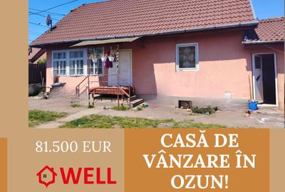 Casă cu 3 camere în Ozun