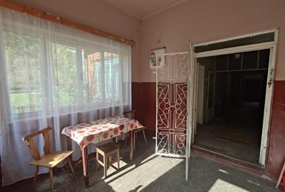 Teren, padure si casa in Dumbrava de Jos, jud. Hunedoara - 12