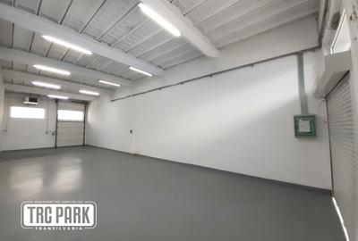 Spațiu industrial, 103 mp în Someșeni