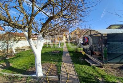 Casa individuala de inchiriat garaj pivnita curte generoasa Strand II - 14