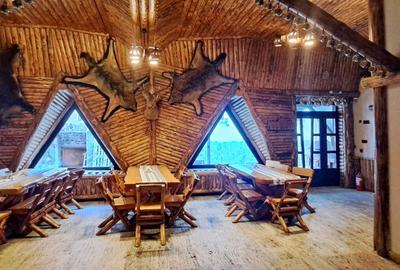 Pensiune deosebita, locuri de cazare, restaurant, pizzerie si spatii comerciale - 13