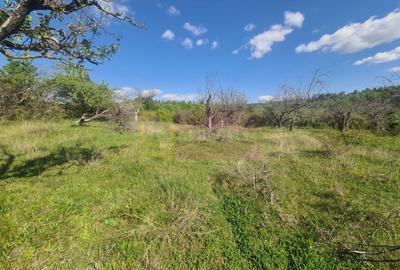 Teren de vanzare in Campina in zona retrasa - 4