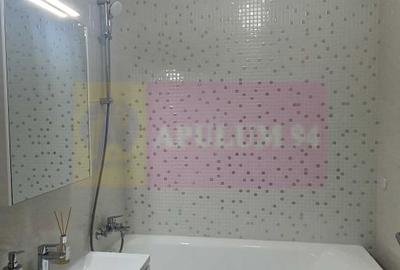 Vanzare Apartament 2 Camere mobilat si utilat Plaza Residence - 8
