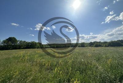 Teren Vanzare 11.000 MP Ghirdoveni | Comision 0% - 8