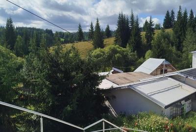 Pensiune + fermă piscicolă (sturion/caviar) | Saru Dornei/Sarisor - 11