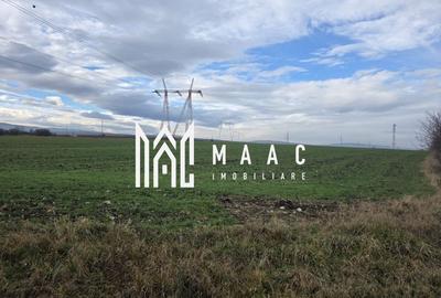 Teren intravilan | 29.300MP | Miercurea Sibiului - 2