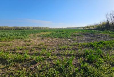 10.100mp TEREN CONSTRUCȚII INTRAVILAN POTIGRAFU, DESCHIDERE 31m direct la DN1 - 4