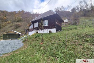Casa de vanzare in Bistra -1700 mp teren - 6