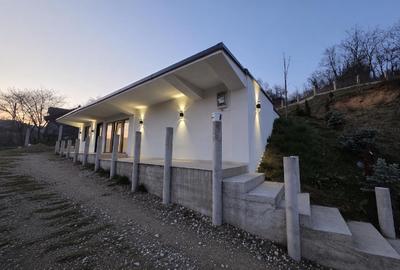 Casă de vânzare cu 1100 mp teren in proprietate- liniște și natură în orașul Gur - 9