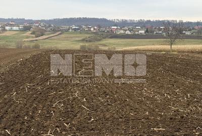 Teren 10.000 mp | Grănicesti | Lângă E85 | Front 25 m - 3