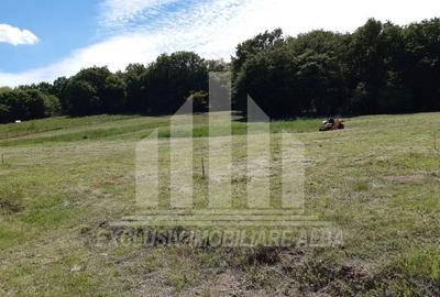 Teren intravilan | De vanzare | 791mp | 16ml deschidere | Alba-Micesti - 4