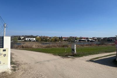 LAGUNA ALBASTRA - CORBEANCA - 4