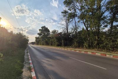 Teren de inchiriat – Voluntari, Strada Popasului - 7