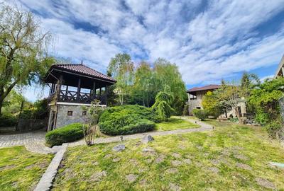 Arhitectura din Piatra si Lemn pe Malul Lacului Mogosoaia - 2