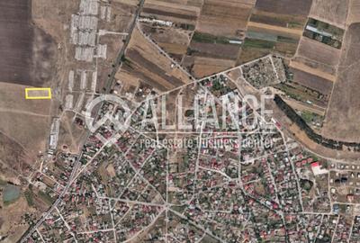 Techirghiol (cod04)-Teren 440 mp ideal investitie constructie casa - 1