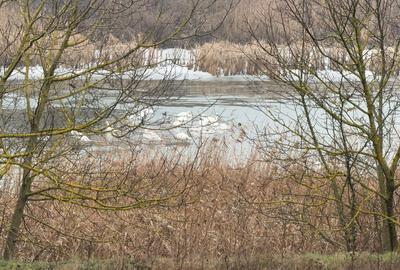 Teren cu deschidere la lac | Moara Vlasiei | 1000 MP - 1