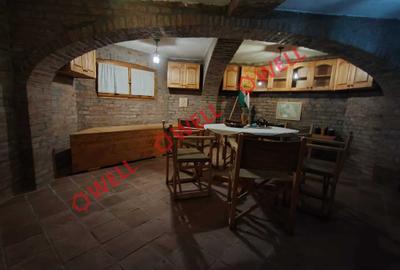 Casă unică de vânzare în Valea Crișului! - 8