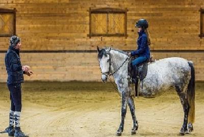 Apartamente de Vacanta - Rasnov Brasov - 17